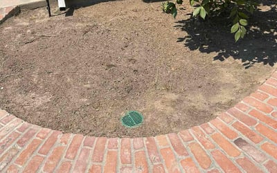 Photo of Sandra G.'s yard after getting landscaping in Fresno, CA