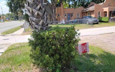 Photo of Kenneth L.'s yard after getting landscaping in Daytona Beach, FL