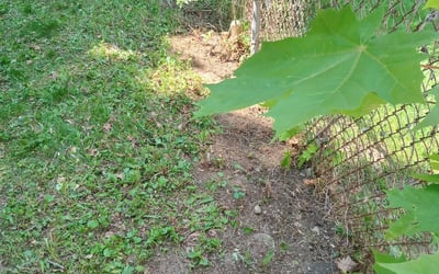 Photo of Nate M.'s yard after getting landscaping in Scituate, MA