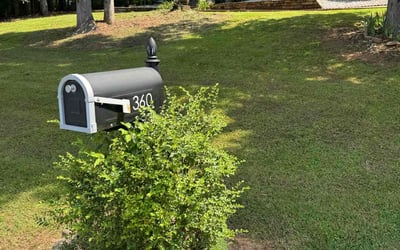 Photo of Erin C.'s yard after getting landscaping in Newnan, GA