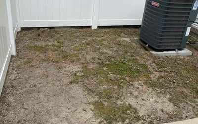 Photo of Richard Y.'s yard after getting tree care in Chesapeake, VA