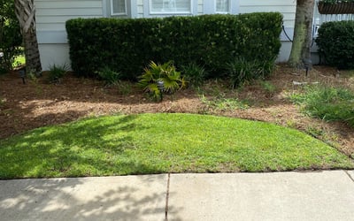 Photo of Nikolette B.'s yard after getting tree care in Mount Pleasant, SC