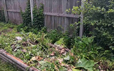 Photo of Tod P.'s yard after getting tree care in Milwaukee, WI