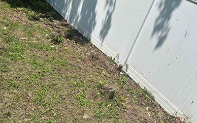 Photo of Marie S.'s yard after getting landscaping in West Haven, CT
