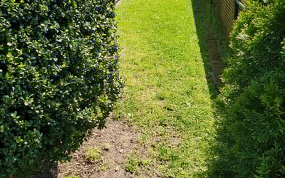 Photo of Charles O.'s yard after getting landscaping in Boston, VA