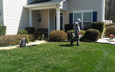 Photo of Robin D.'s yard after getting landscaping in Sharon, SC