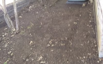 Photo of Tiffany M.'s yard after getting landscaping in Nemo, TX