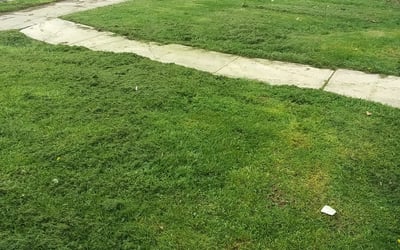 Photo of Richard W.'s yard after getting landscaping in Clayton, IN