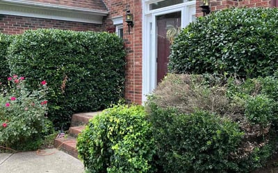 Photo of Virginia R.'s yard after getting landscaping in Faith, NC