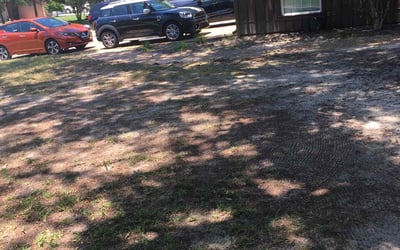 Photo of Jacob M.'s yard after getting landscaping in Gonzalez, FL