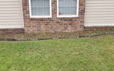 Photo of Darren B.'s yard after getting landscaping in Folly Beach, SC