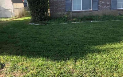 Photo of Kim H.'s yard after getting landscaping in Pleasant Grove, UT