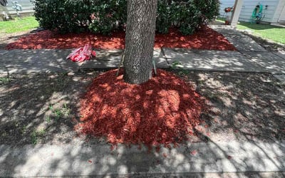 Photo of Robin W.'s yard after getting tree care in Humble, TX