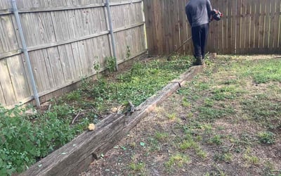 Photo of Austin f.'s yard after getting landscaping in Grapevine, TX