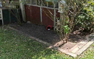 Photo of Lori A.'s yard after getting landscaping in Galena Park, TX