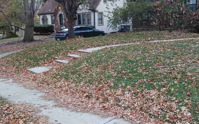 Photo of James L.'s yard after getting landscaping in Bates City, MO