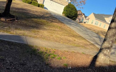 Photo of Michael B.'s yard after getting landscaping in Jersey, GA