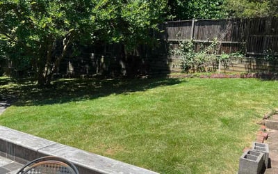 Photo of Jonathan H.'s yard after getting landscaping in Bentonville, VA