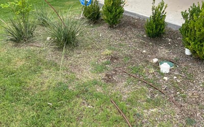 Photo of John P.'s yard after getting landscaping in Poolville, TX