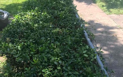 Photo of Rick G.'s yard after getting landscaping in Hutchins, TX