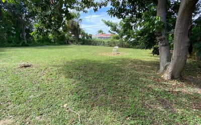 Photo of Sasha H.'s yard after getting landscaping in South Bay, FL