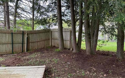 Photo of Ryan S.'s yard after getting landscaping in Oswego, NY