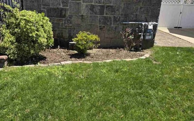 Photo of Pradeep R.'s yard after getting tree care in Deer Park, NY