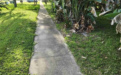 Photo of Teresita F.'s yard after getting tree care in Ellenton, FL