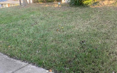Photo of Robert H.'s yard after getting landscaping in De Soto, MO