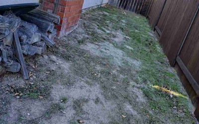 Photo of Mathilde T.'s yard after getting tree care in San Diego, CA