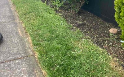 Photo of Shannon B.'s yard after getting landscaping in Salem, OR