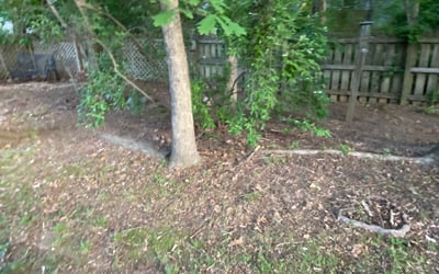 Photo of Bruce L.'s yard after getting landscaping in Micro, NC