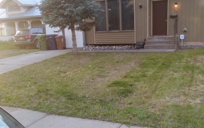 Photo of Lesli Y.'s yard after getting landscaping in Colville, WA