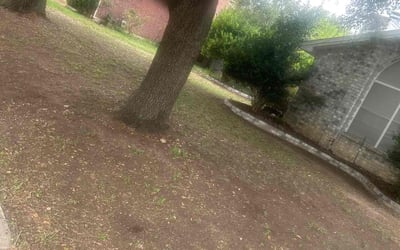 Photo of Alicia S.'s yard after getting landscaping in Grandview, TX