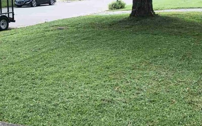 Photo of Charles O.'s yard after getting tree care in New Albany, IN