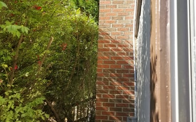 Photo of Glenn M.'s yard after getting landscaping in Damascus, MD