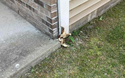 Photo of Sarah A.'s yard after getting landscaping in Bargersville, IN