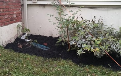 Photo of Michelle F.'s yard after getting landscaping in Basehor, KS
