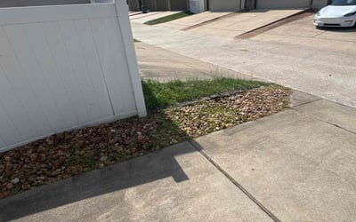 Photo of Lauren B.'s yard after getting landscaping in Cedar Park, TX