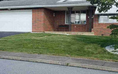 Photo of Jeffrey S.'s yard after getting tree care in Easton, PA