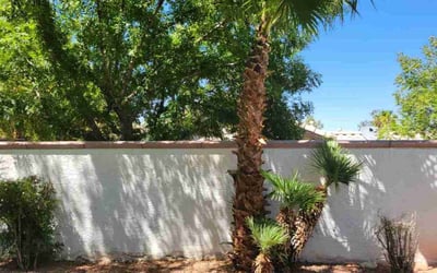 Photo of Jim H.'s yard after getting landscaping in Logandale, NV