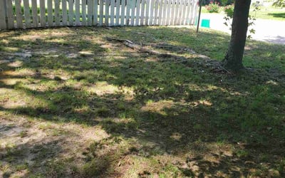 Photo of Jahneakia B.'s yard after getting landscaping in Fort Lee, VA