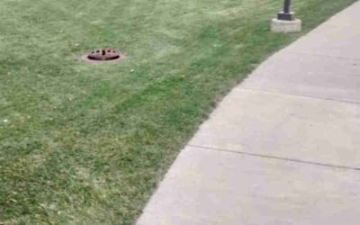 Photo of Jack B.'s yard after getting landscaping in New Prague, MN