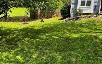 Photo of Denise Z.'s yard after getting landscaping in Snellville, GA