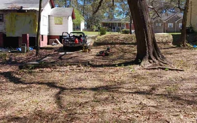 Photo of Adam L.'s yard after getting landscaping in Lebanon, GA