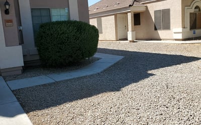 Photo of Ravi G.'s yard after getting tree care in Phoenix, AZ