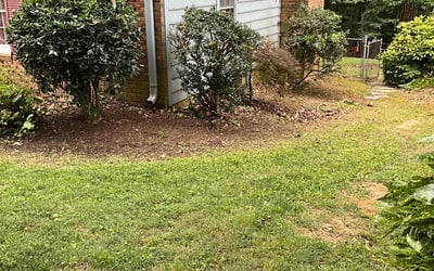 Photo of Megan D.'s yard after getting landscaping in Trinity, NC
