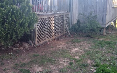 Photo of Leah C.'s yard after getting landscaping in Randleman, NC