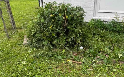 Photo of Takya B.'s yard after getting landscaping in Huntsville, AL