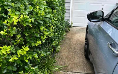 Photo of Tamara C.'s yard after getting landscaping in Baltimore, MD